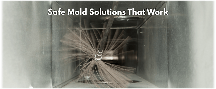 Air Duct Mold Removal in Buckeye AZ