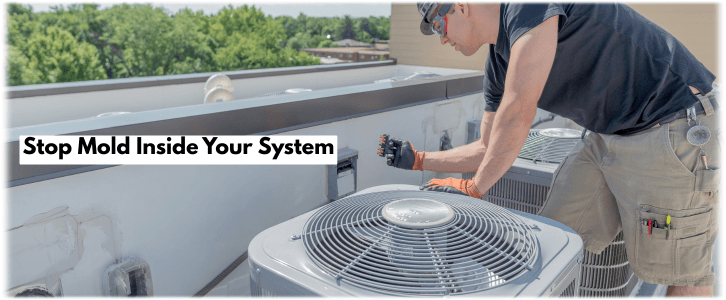 HVAC Mold Removal Buckeye AZ